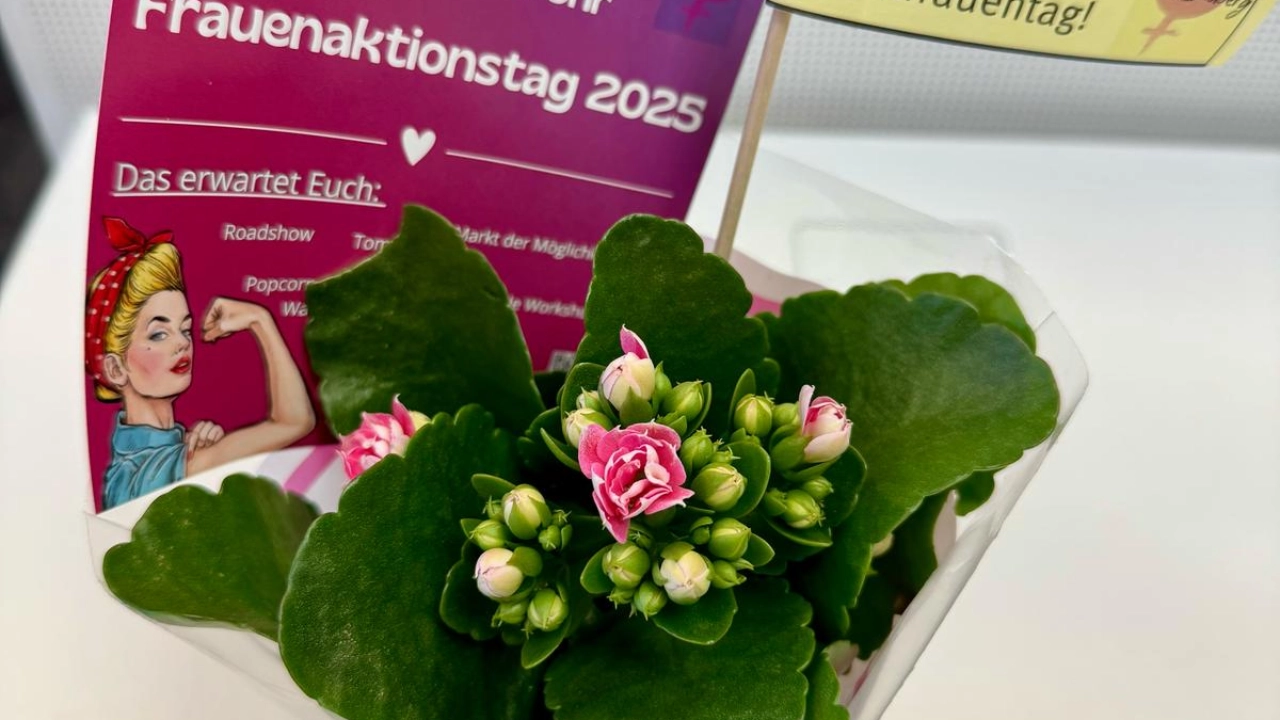 Blume iFt