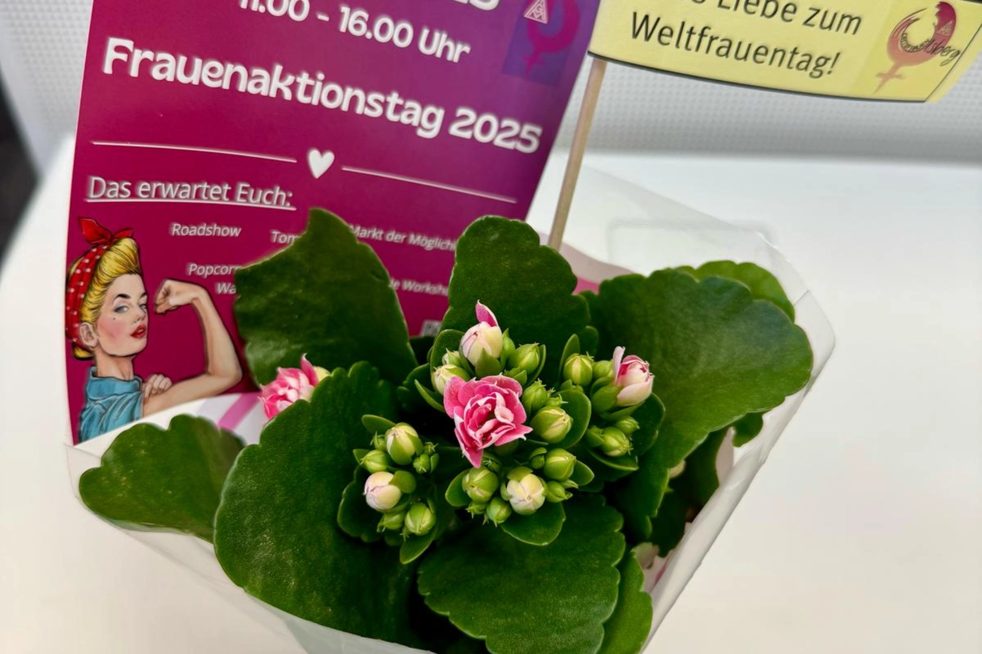 Blume iFt